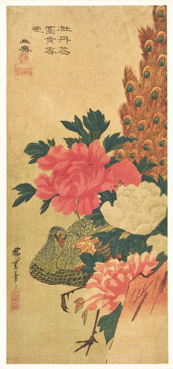 Pæoner og påfugl af Utagawa Hiroshige