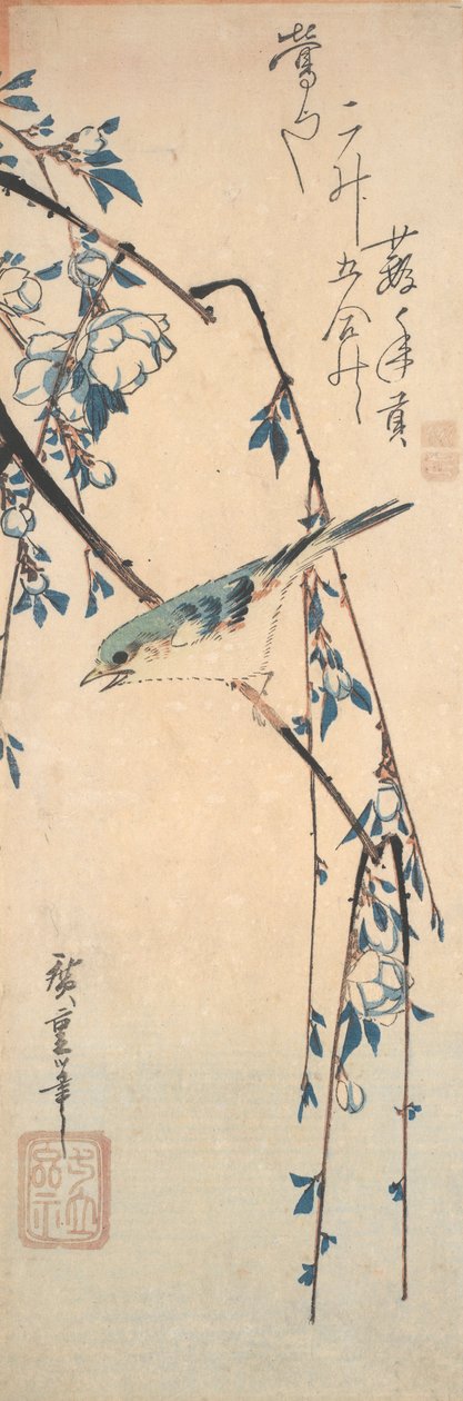 Rødflankeret blåhale på en kirsebærgren af Utagawa Hiroshige