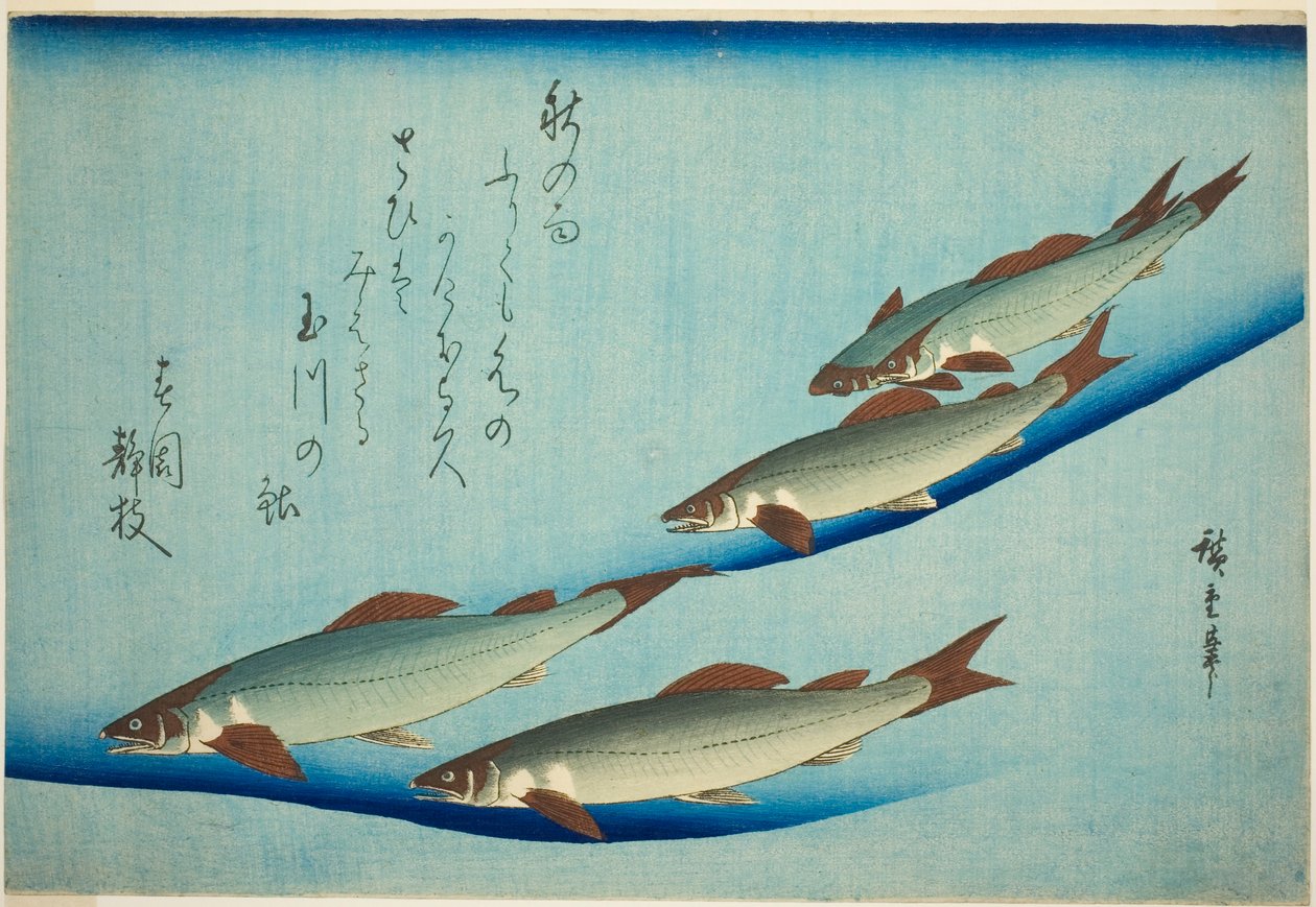 Flodørred af Utagawa Hiroshige