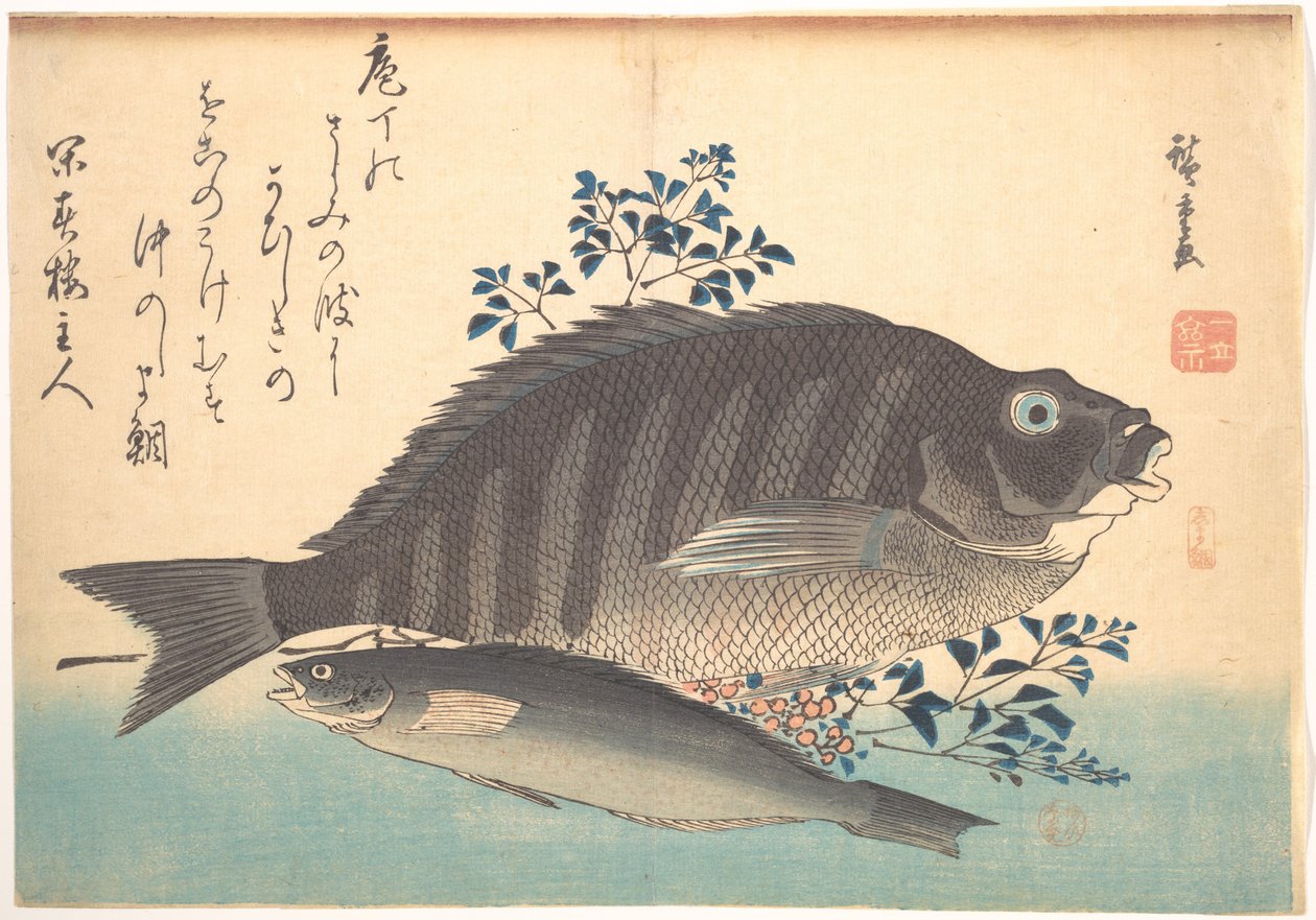 Shimadai- og ainamefisk, fra serien Uozukushi (Alle slags fisk) af Utagawa Hiroshige