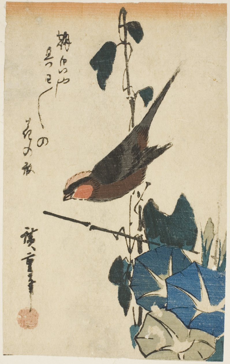 Spurv og morgenfruer af Utagawa Hiroshige