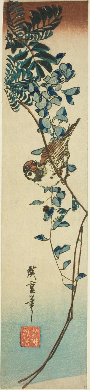 Spurv og blåregn af Utagawa Hiroshige