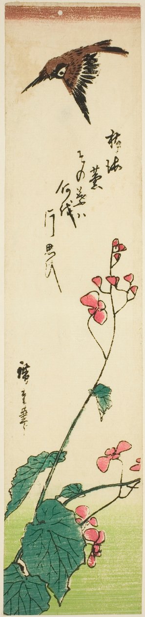 Spurv, der flyver over begonier af Utagawa Hiroshige