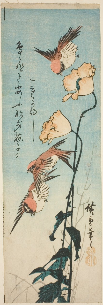 Spurve og valmuer af Utagawa Hiroshige