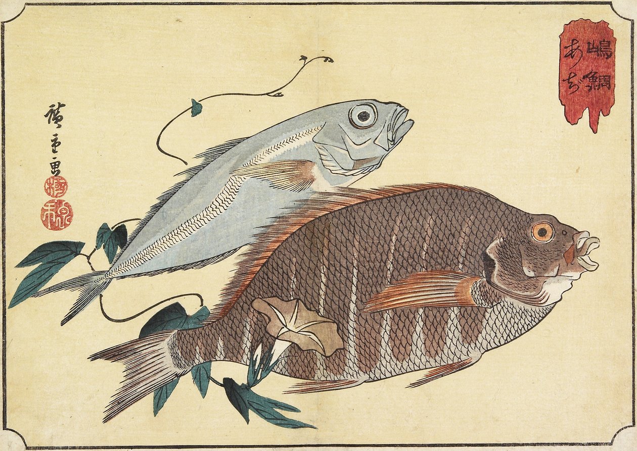 Stribet Snapper og Hestemakrel, begyndelsen af det 19. århundrede af Utagawa Hiroshige
