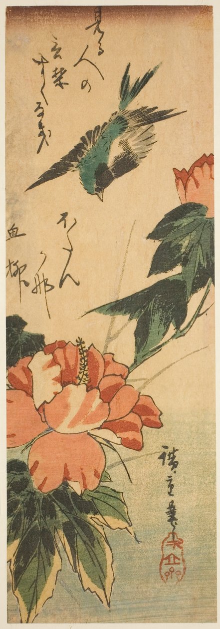 Svale og hibiscus af Utagawa Hiroshige