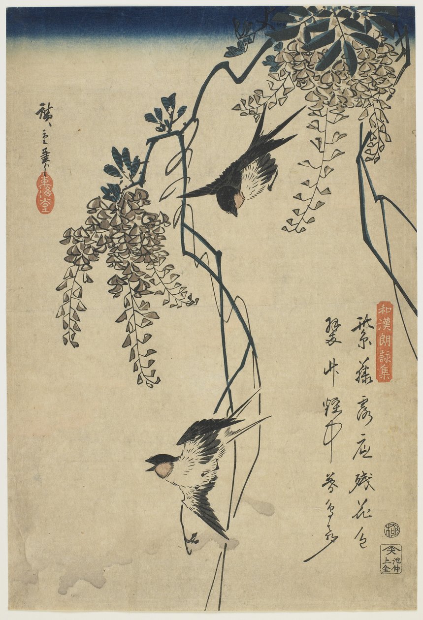 Svaler flyver gennem Wisteria Vines, 1837-44 (træbloktryk i farver) af Utagawa Hiroshige