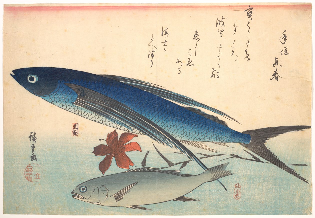 Tobiuo- og ishimotchi-fisk, fra serien Uozukushi (Alle fiskearter) af Utagawa Hiroshige