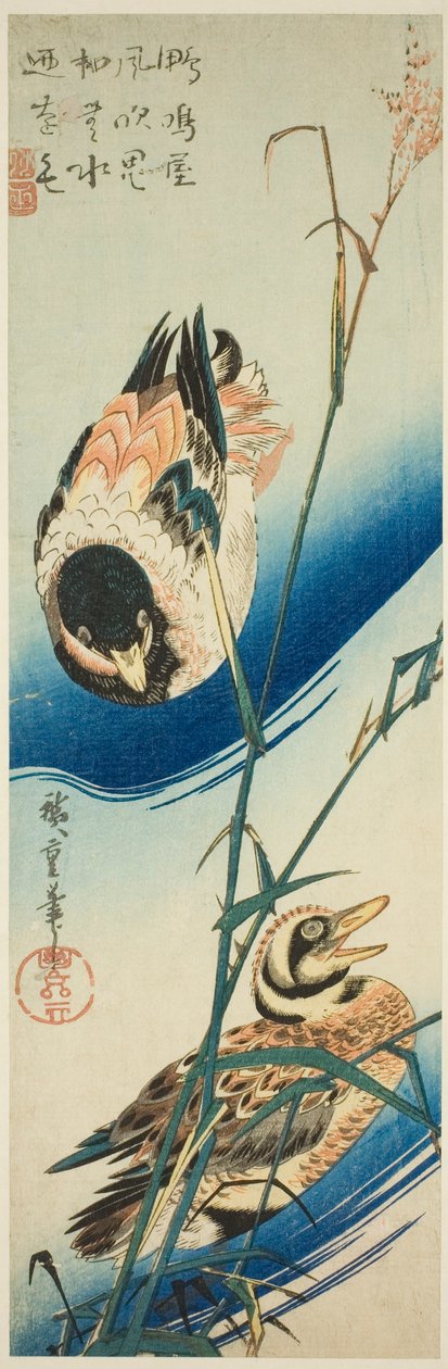 To ænder, der svømmer blandt siv af Utagawa Hiroshige