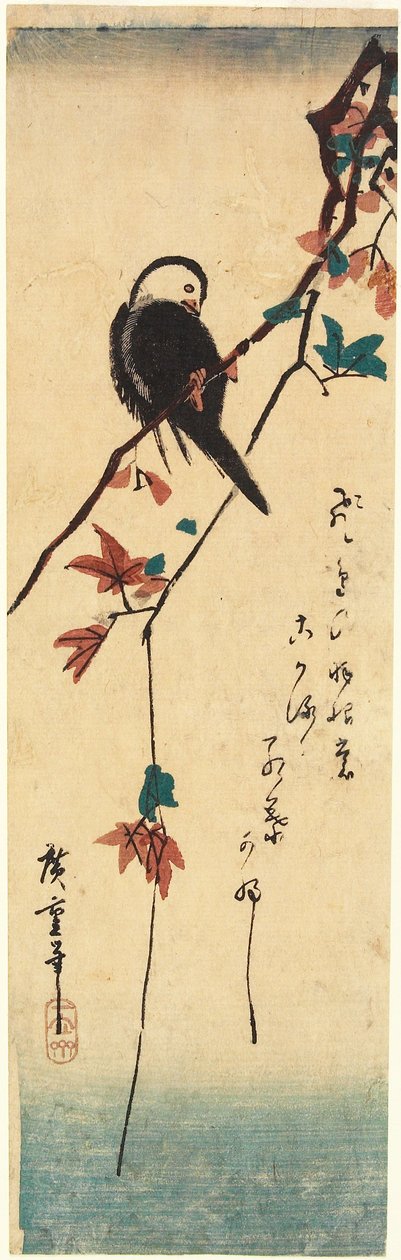 Hvidhovedet fugl på en ahorngren af Utagawa Hiroshige