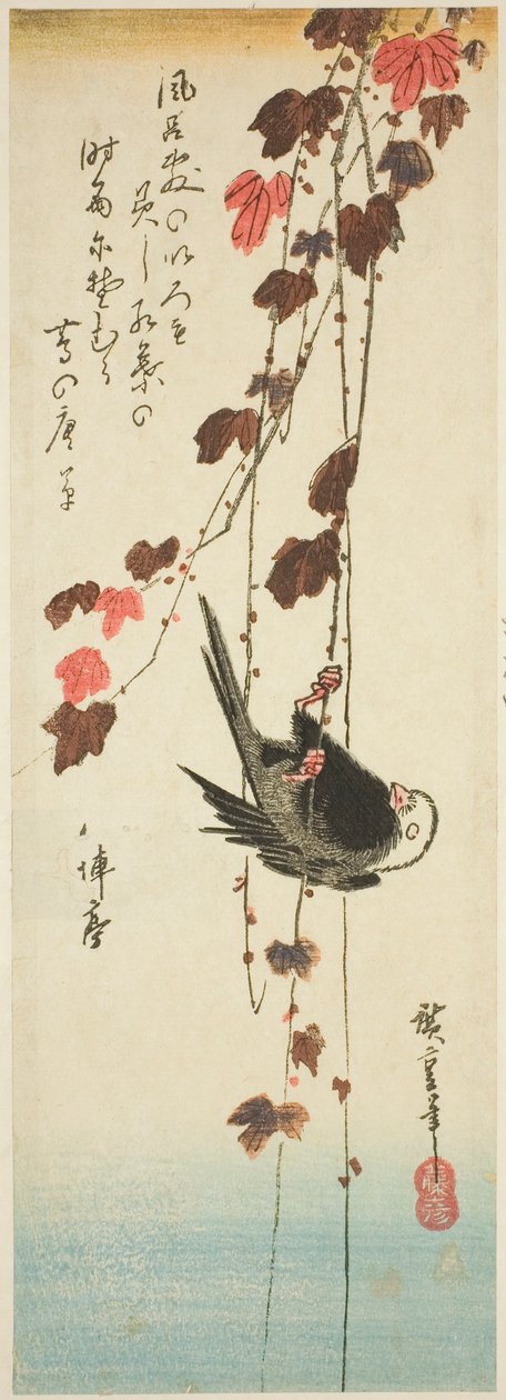 Hvidhovedet fugl og efeu af Utagawa Hiroshige