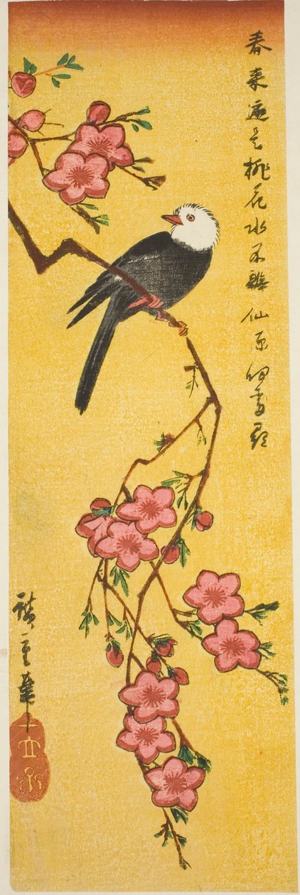 Hvidhovedet fugl på ferskengren af Utagawa Hiroshige