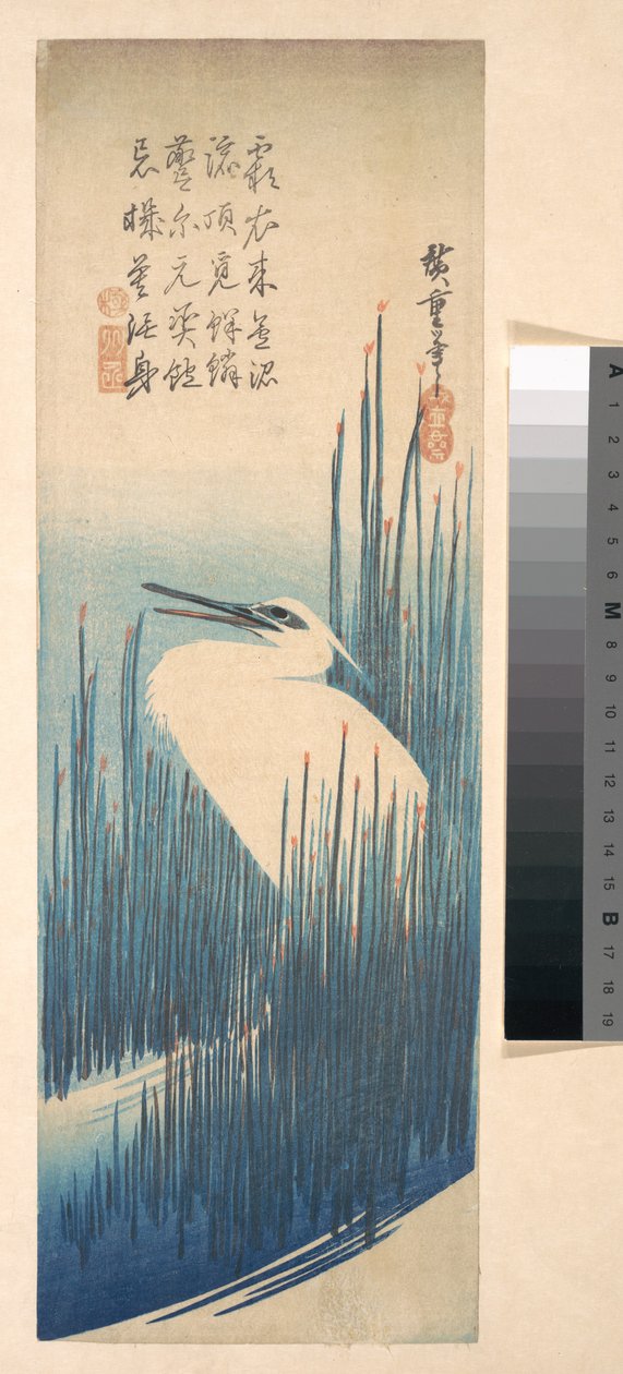 Weißer Reiher zwischen Schilf af Utagawa Hiroshige