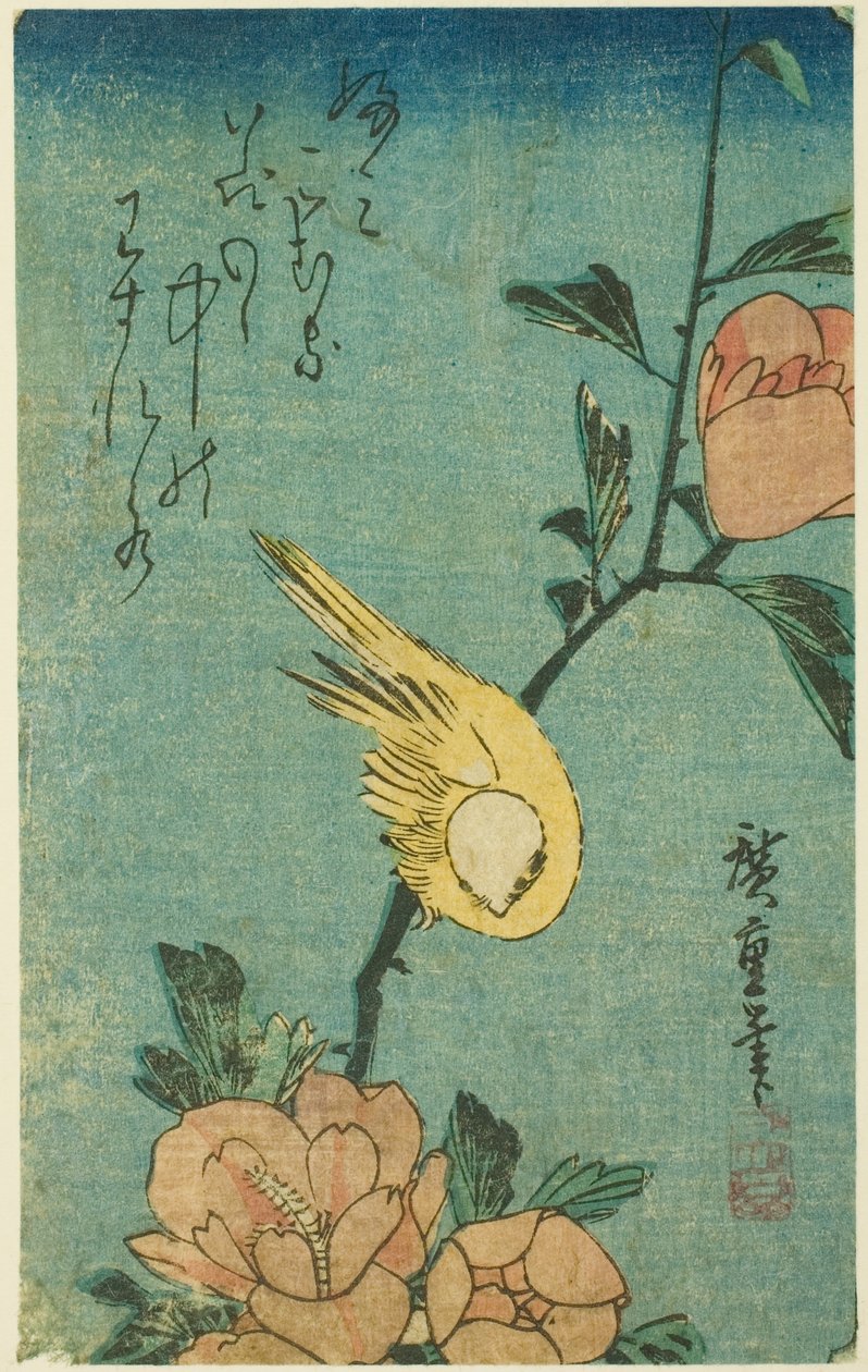Gul fugl og hibiscus af Utagawa Hiroshige