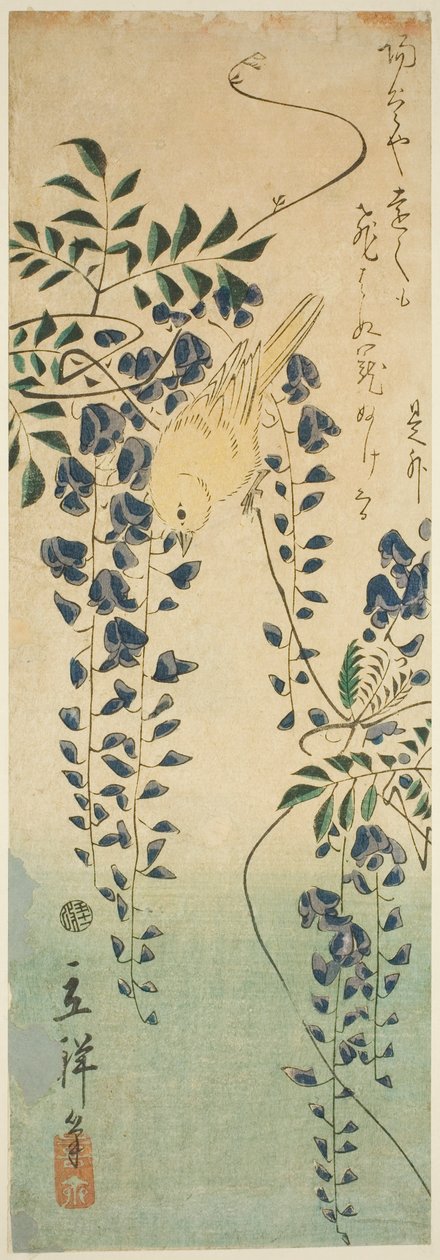 Kanariefugle og blåregn af Utagawa Hiroshige II