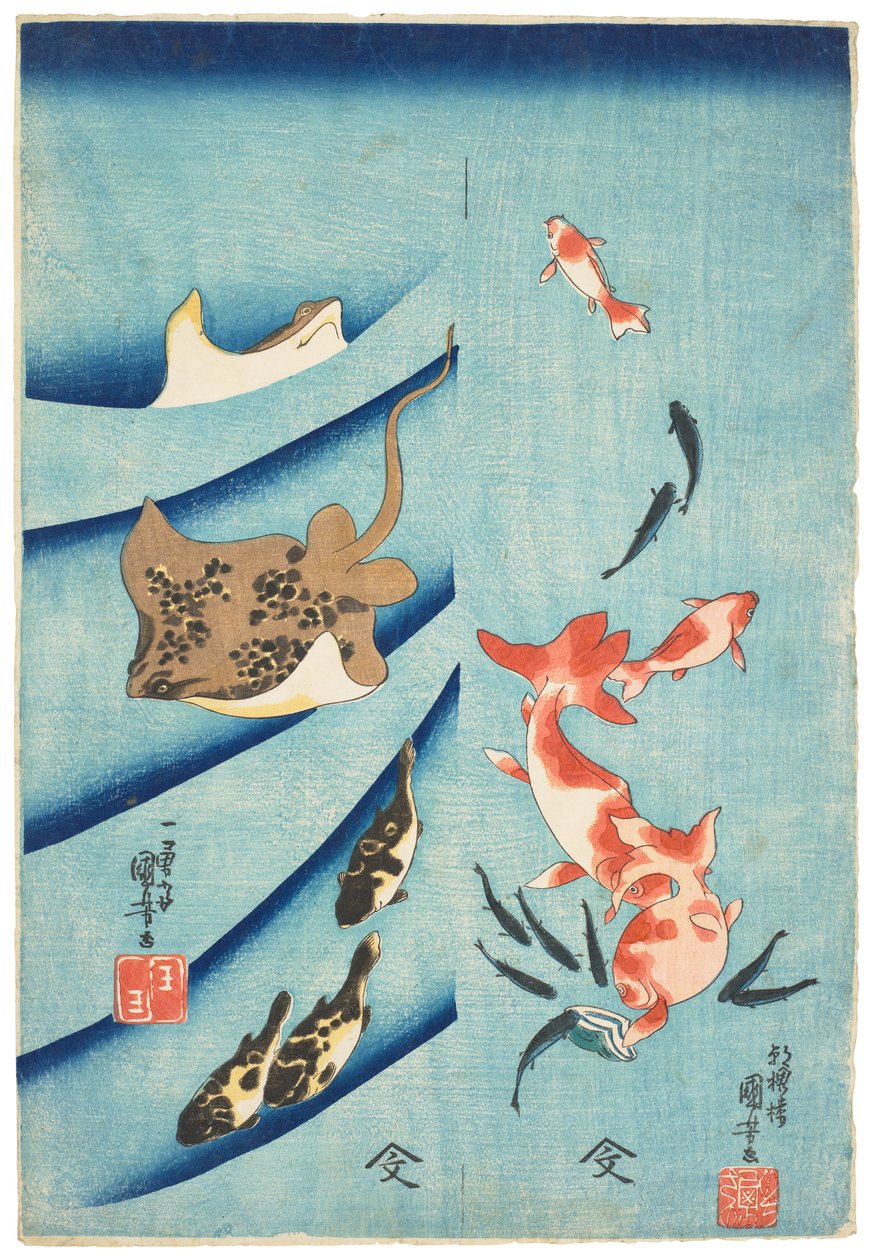 Guldfisk, killifisk, rokke og kuglefisk, ca. 1837 (træsnit) af Utagawa Kuniyoshi