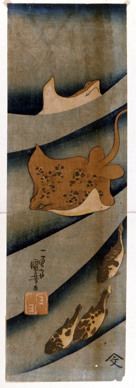 Tryk af Utagawa KUNIYOSHI (1797-1861), der forestiller fisken. af Utagawa Kuniyoshi