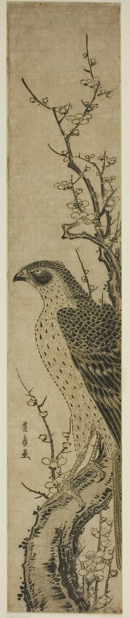 Høg på et kirsebærtræ af Utagawa Toyohiro