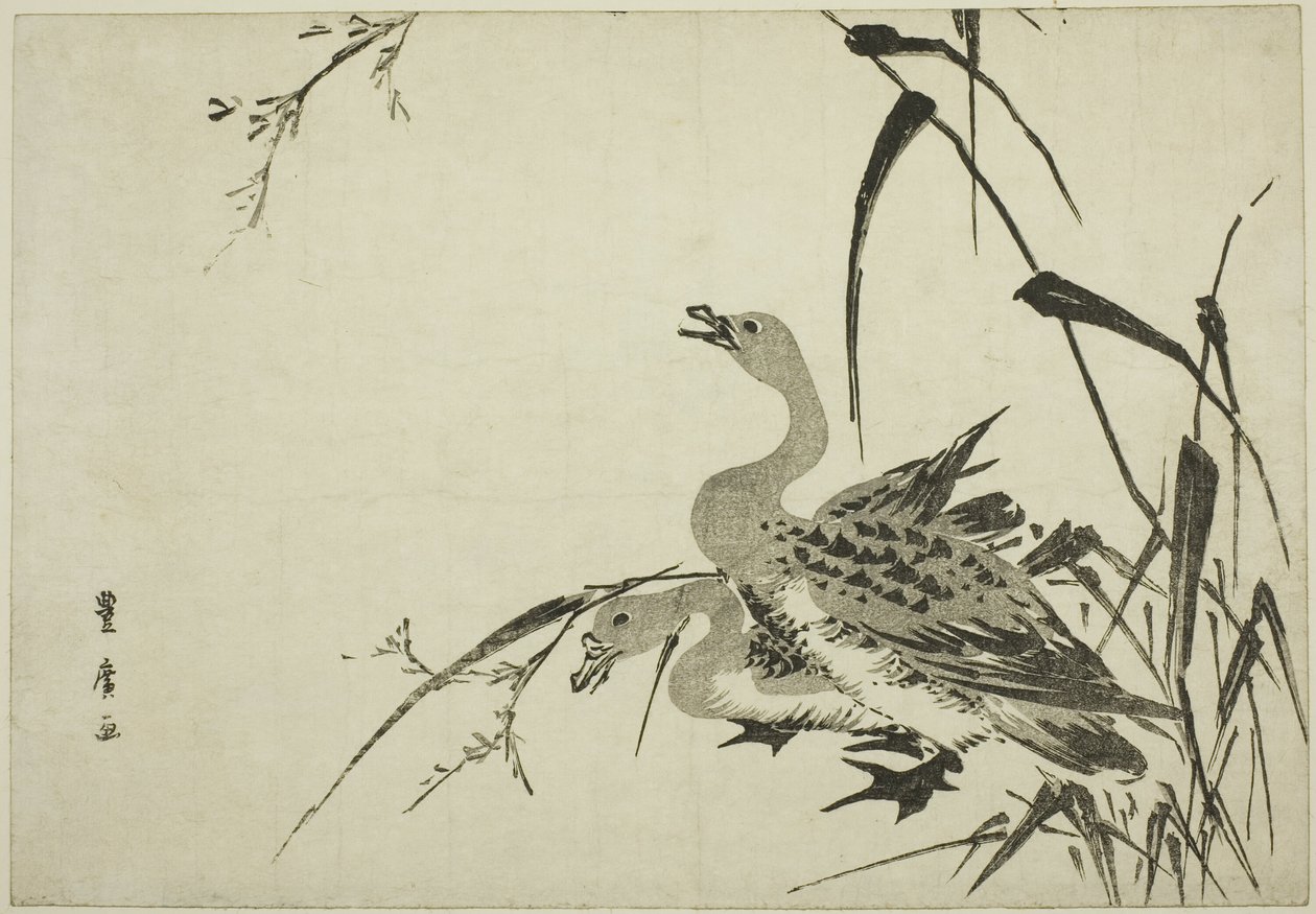 Vilde gæs og rør af Utagawa Toyohiro