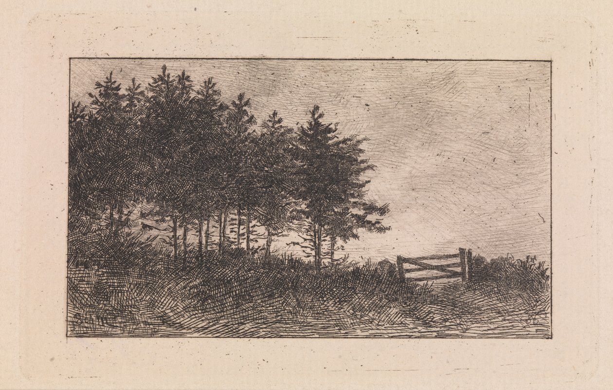 Augustaften af Valdemar Schønheyder Møller