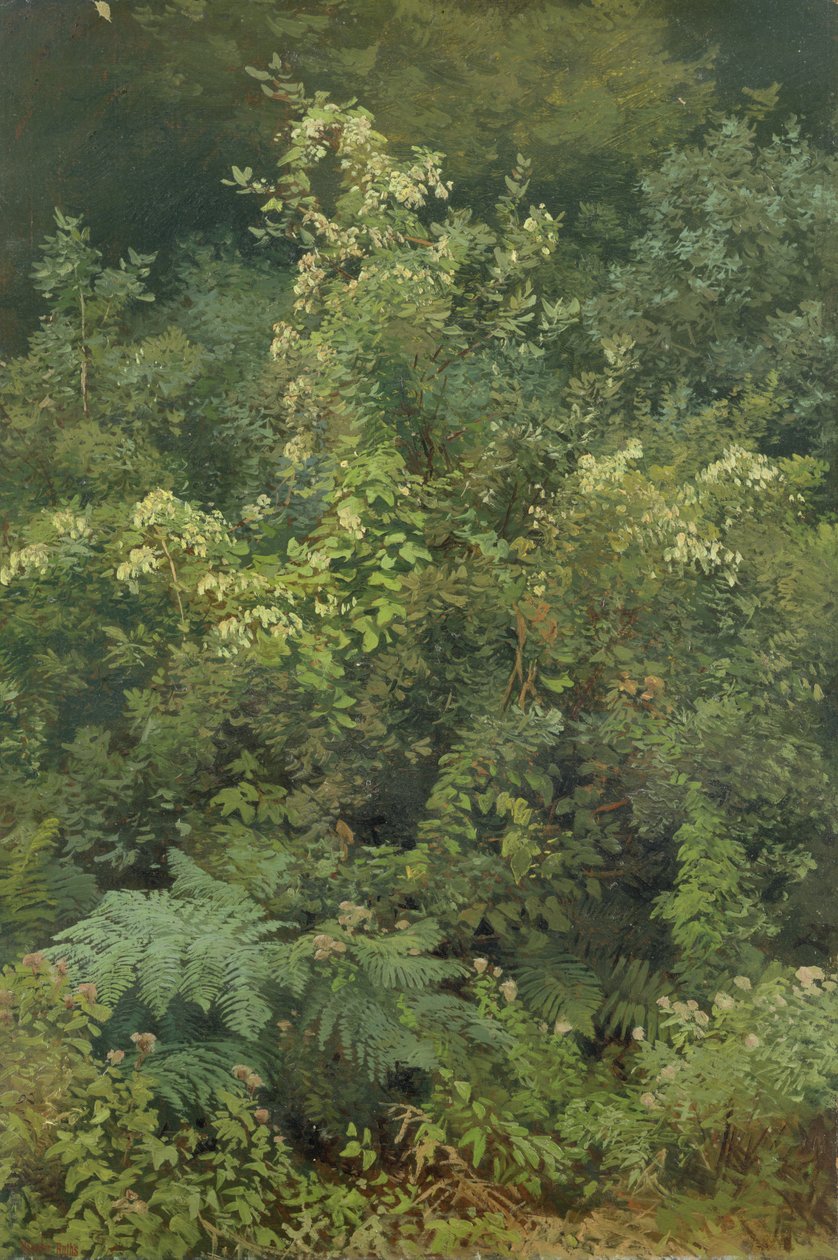 Humle og bregner i Woodland, 1870 (olie på papir lagt på pap) af Valentin Ruths