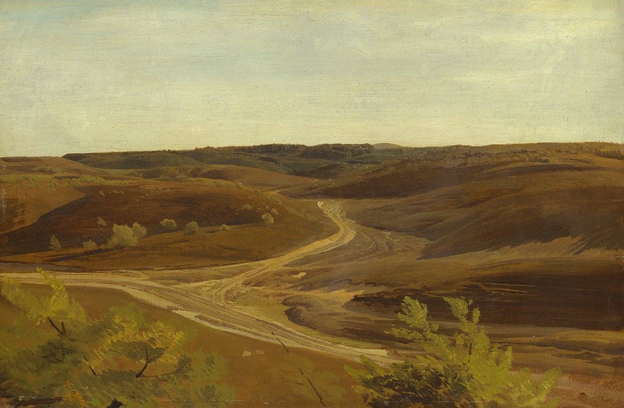 Moorland nær Ehestorf, 1868 (olie på papir om bord) af Valentin Ruths