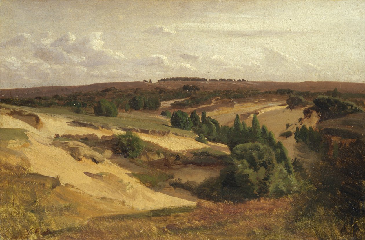 Heden ved Bispingen, 1887 (olie på papir på lærred) af Valentin Ruths