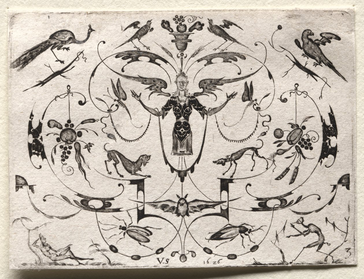 Arabesque med påfugl, parakit, hunde og insekter af Valentin Sezenius