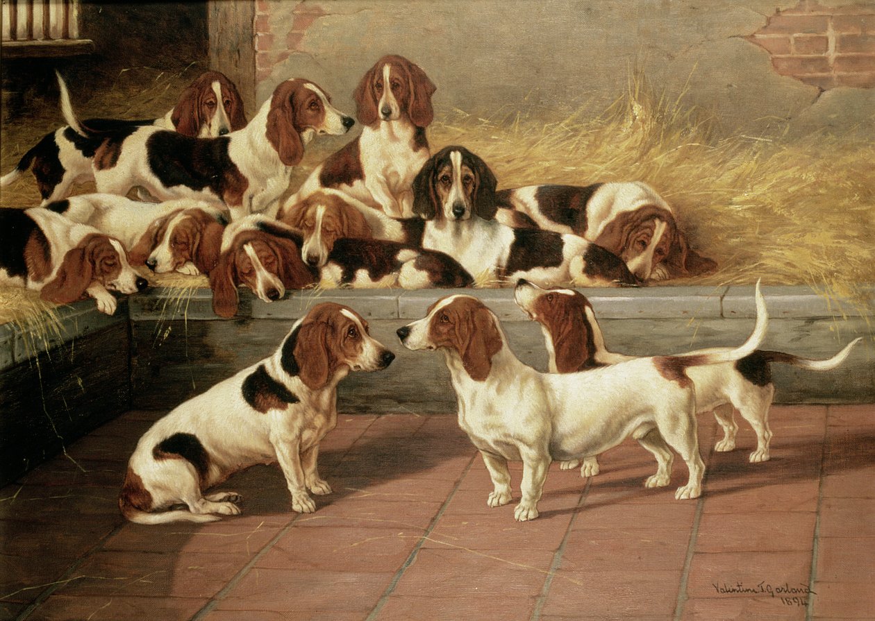 Basset Hounds in a Kennel, 1894 af Valentine Thomas Garland