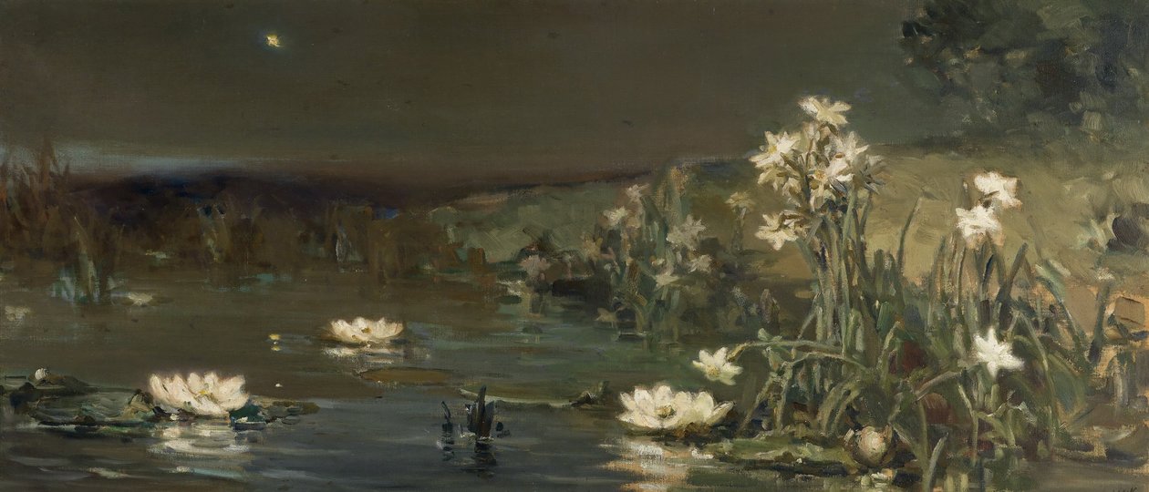 Stjerne i natten af Vasilii Kotarbinsky