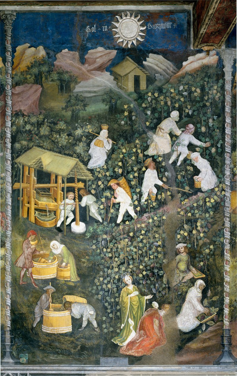 Oktober: høstscene, høst af druer og tilberedning af mout (vinpresning). Maleri af Månedens Mester eller Mester Wenceslas (Maestro dei Mesi eller Maestro Wenceslao på italiensk, begyndelsen af det 15. århundrede) restaureret af Marcello Fogolino ca. af Venceslao Maestro
