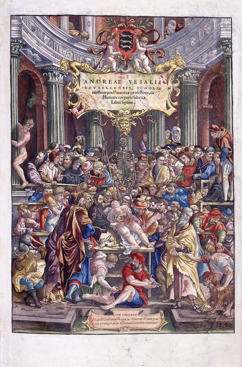 Den flamske anatom og læge, Andreas Vesalius, giver en lektion på medicinskolen i Bruxelles, 1543 af Venetian School