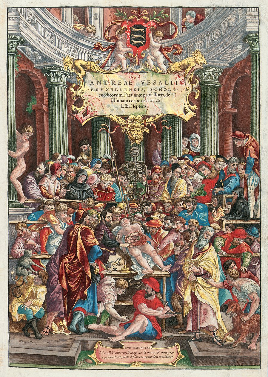 Frontispice til De Humani Corporis Fabrica Libri Septem af Andreas Vesalius (1514-64), udgivet af Johannes Oporinus, Basel, juni 1543 (farvetræsnit) (se også 233019) af Venetian School