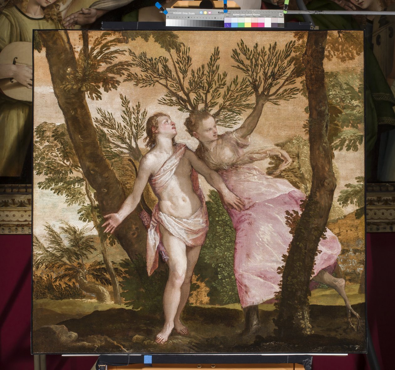 Apollo og Daphne, ca. 1560-65 af Paolo Veronese
