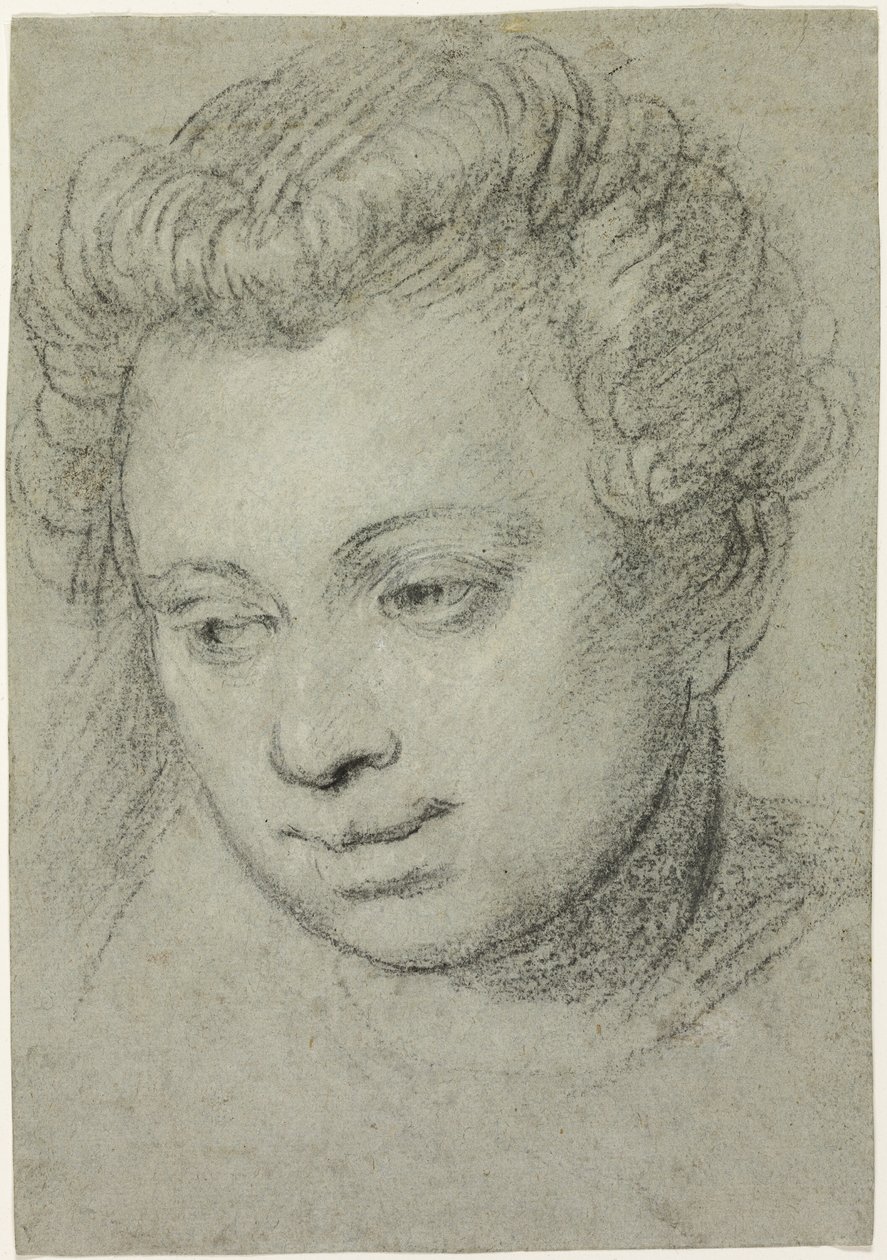 Hovedet af en kvinde af Veronese (Paolo Caliari)