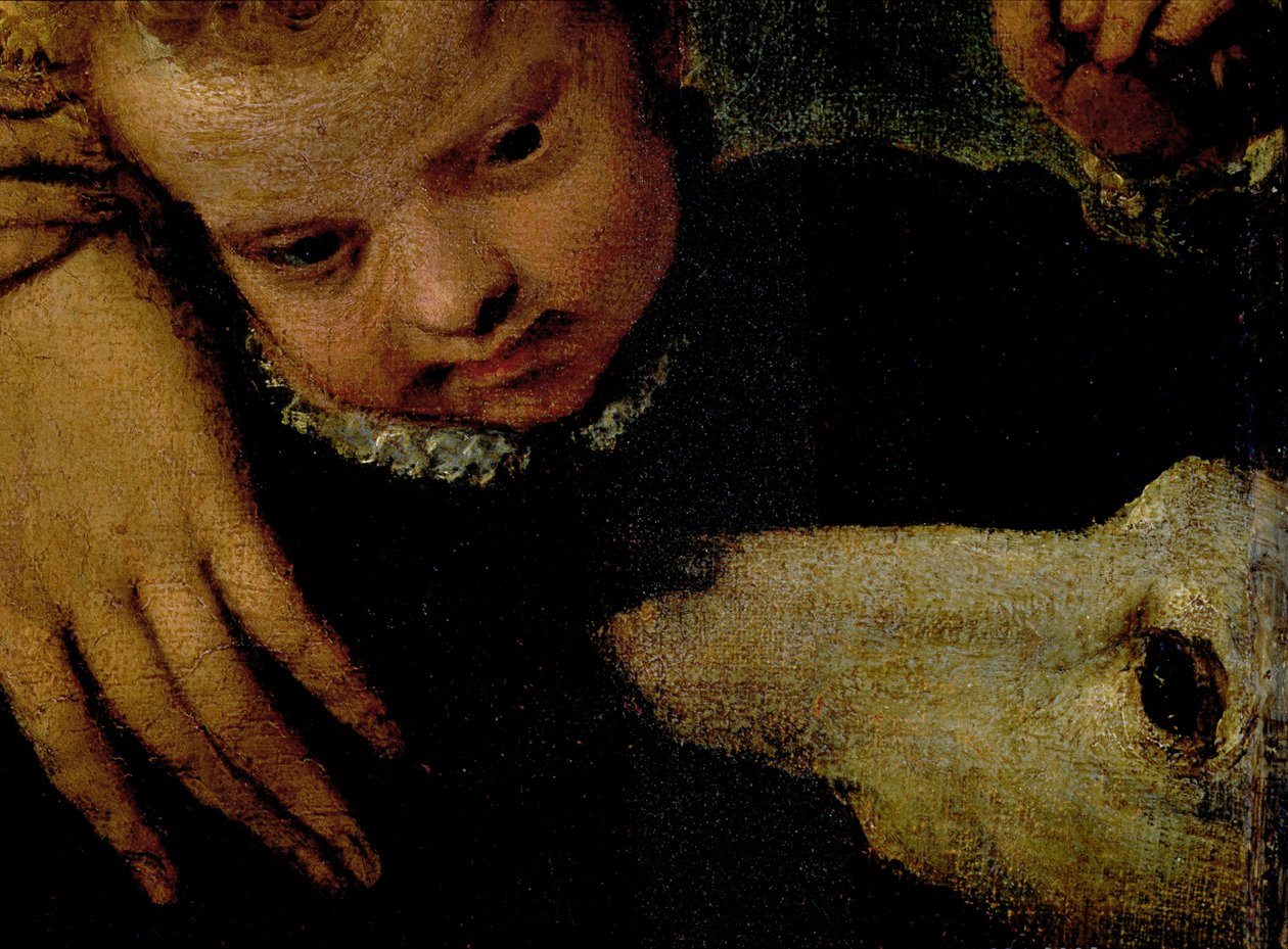 Portræt af en kvinde med et barn og en hund, detalje af barnets hoveder og hunden olie på lærred detalje af 95739 af Paolo Veronese