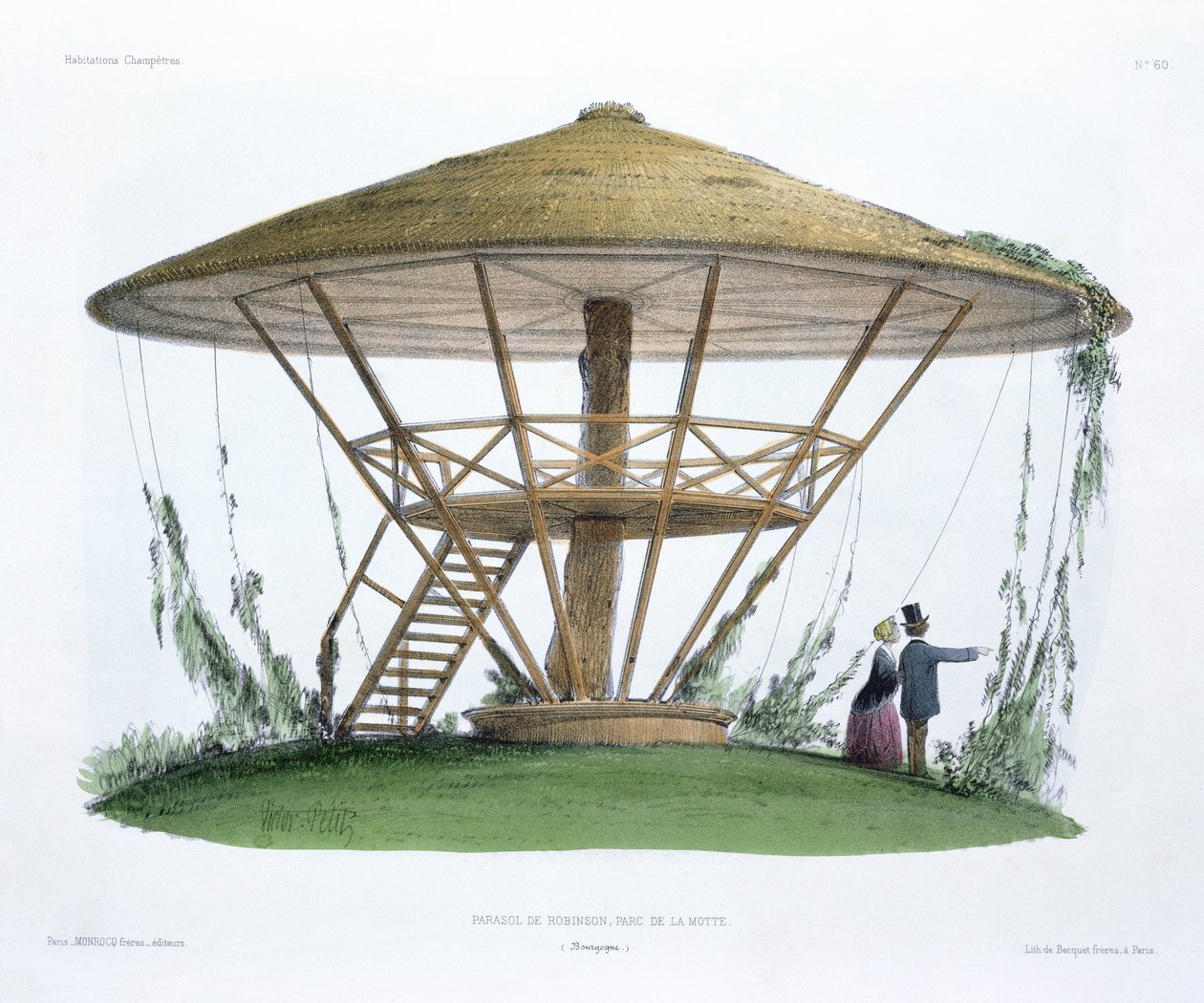 Robinsons parasol, Parc de la Motte, Bourgogne, fra 