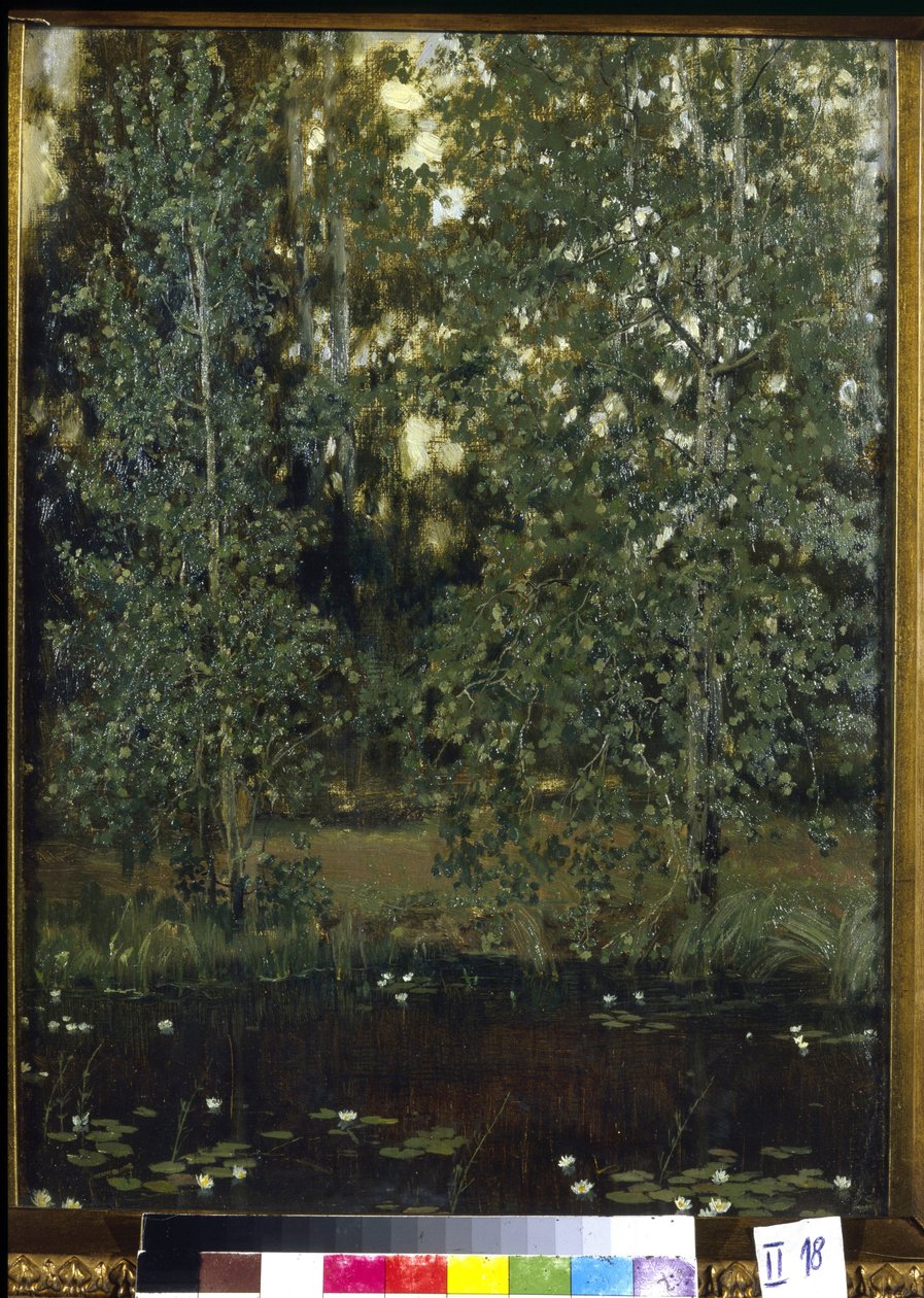 Dam i Akhtyrka (eller Okhtyrka, Ukraine). Maleri af Viktor Mikhaylovich Vasnetsov (1848-1926), olie på lærred af Victor Mikhailovich Vasnetsov