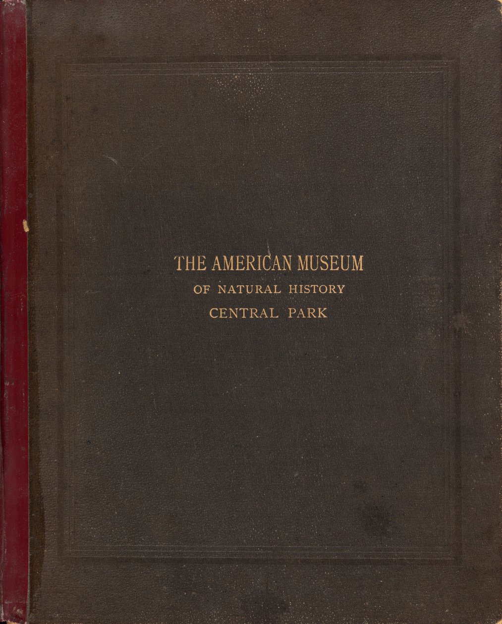 Det fotografiske album fra American Museum of Natural History, Central Park, New York City af Victor Prevost, Gaston L. Feuardent and Co., New York