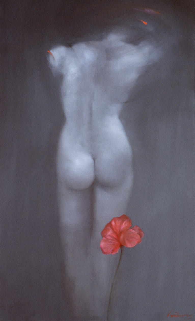 Amaryllis af Victoria Montesinos