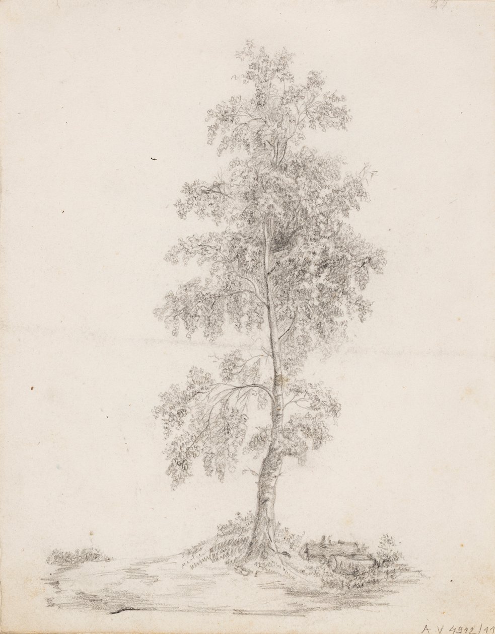 Birk af Victoria Åberg