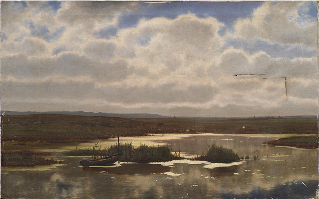 Hede med en mose af Vilhelm Groth