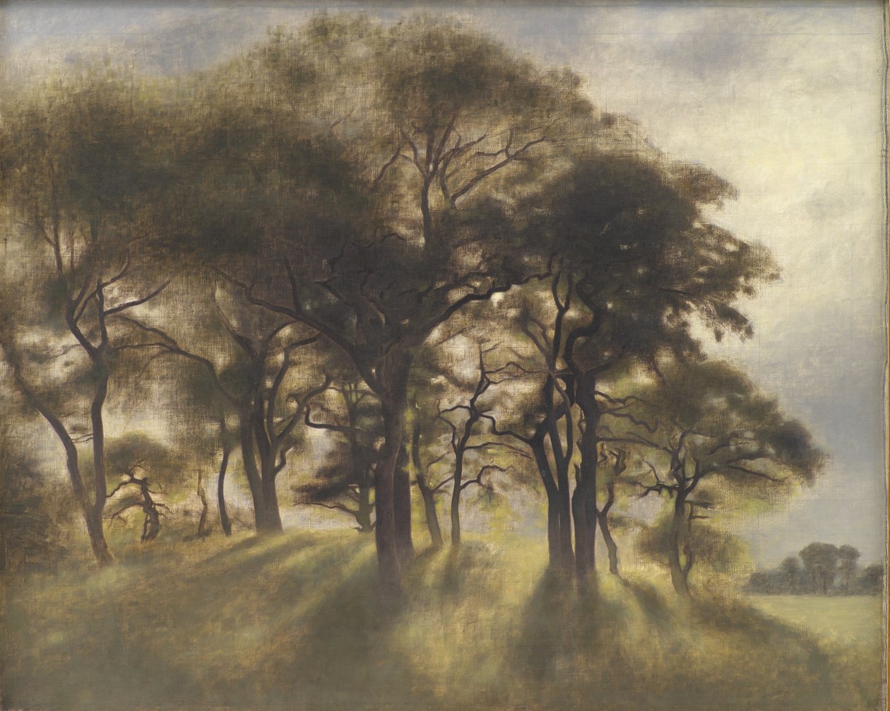 Near Fortunen, Jægersborg Deer Park, North of Copenhagen af Vilhelm Hammershøi