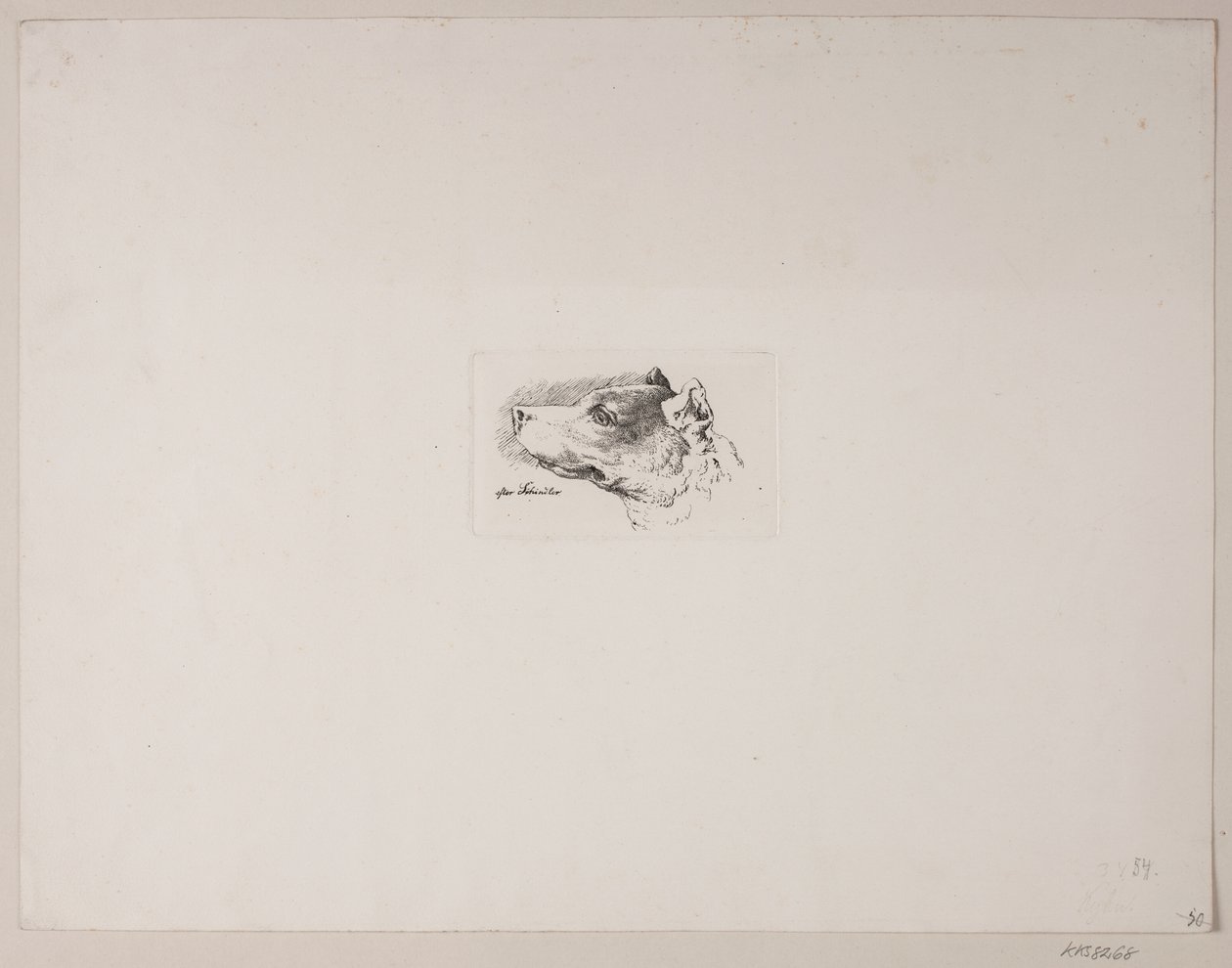 Hundehoved af Vilhelm Kyhn