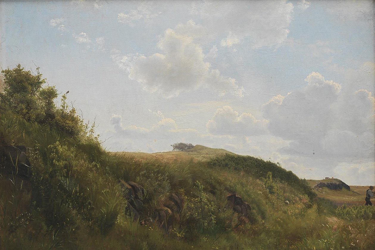 Junidag ved Rørvig af Vilhelm Kyhn