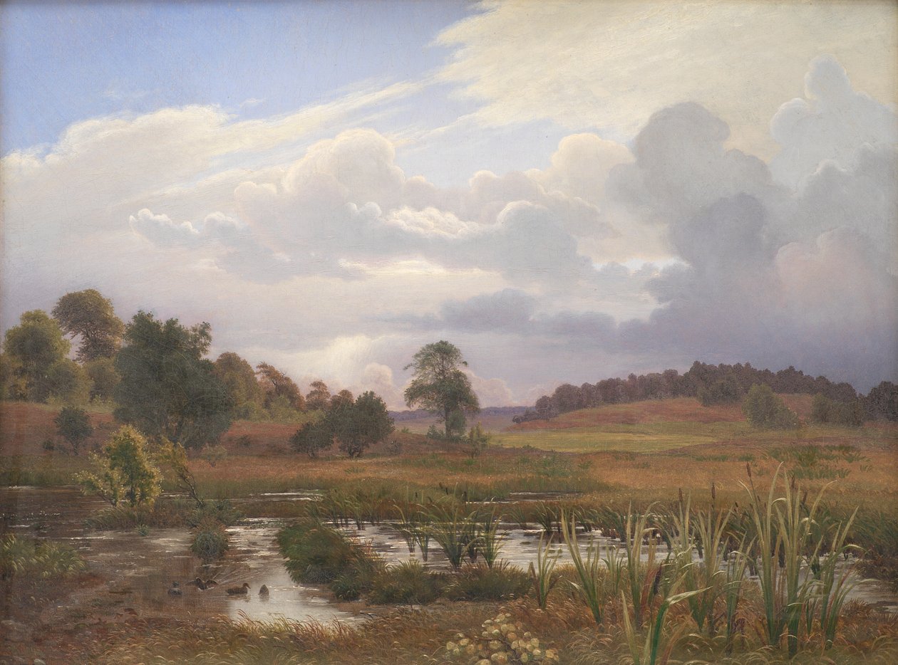 Landscape near the Forest Nordskoven, Jægerspris, Zealand af Vilhelm Kyhn