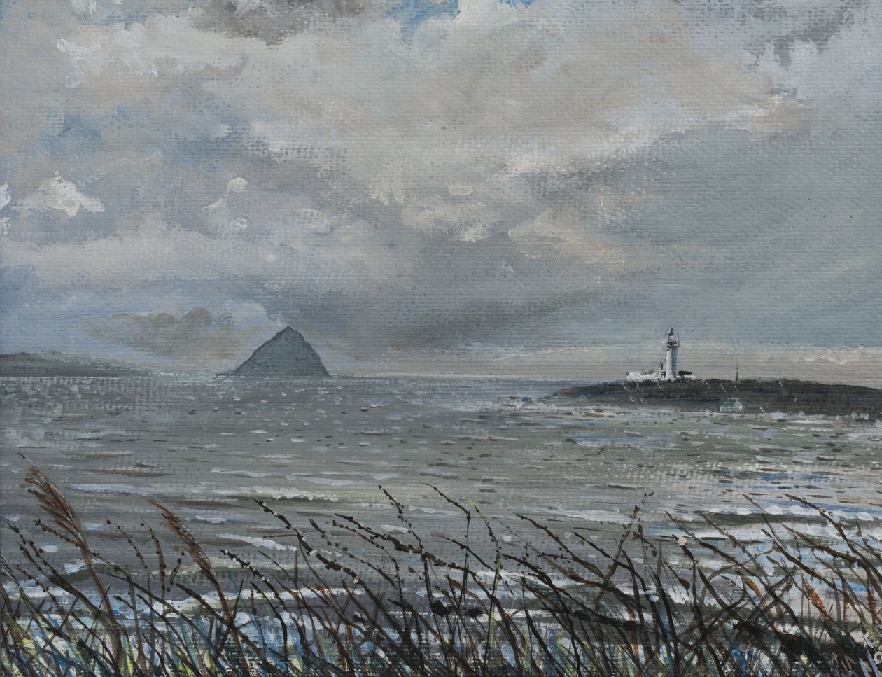 Ailsa Craig fra Arran, 2007, (akryl på lærredstavle) af Vincent Alexander Booth
