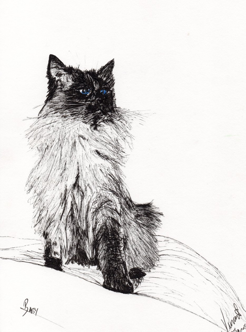 Baby, 2008, (blæk på papir) af Vincent Alexander Booth