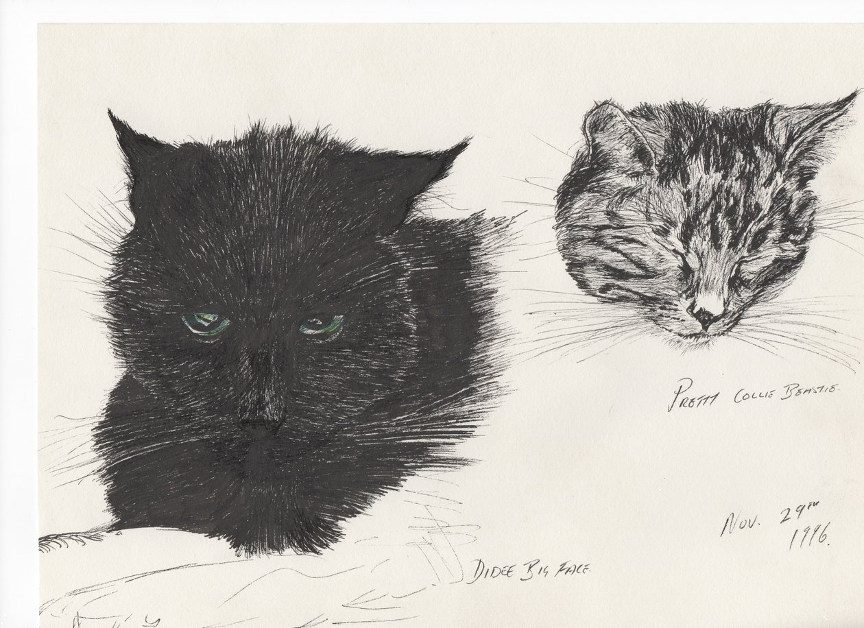 Diddybigface & colliebeastie, 1996, (blæk på papir) af Vincent Alexander Booth