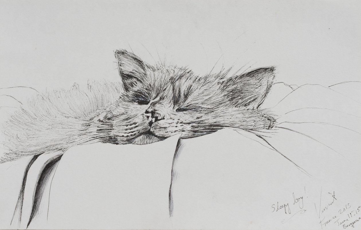 Monty sleepy boy, 2013, (Blæk på papir) af Vincent Alexander Booth